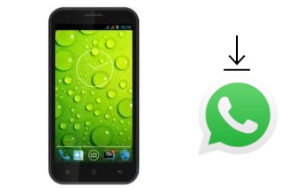 How to install WhatsApp in a Polytron R3500