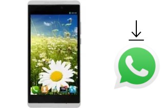 How to install WhatsApp in a Polytron W8570