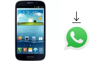 How to install WhatsApp in a Privileg SM30