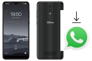 How to install WhatsApp in a Qilive Q3