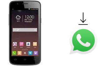 How to install WhatsApp in a QMobile Noir i7