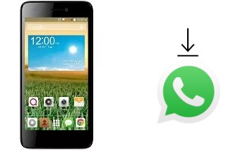 How to install WhatsApp in a QMobile Noir X800