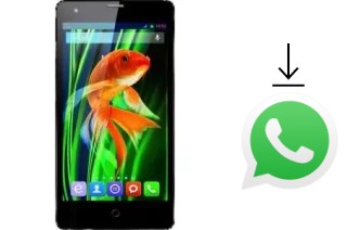 How to install WhatsApp in a QSmart MB5011