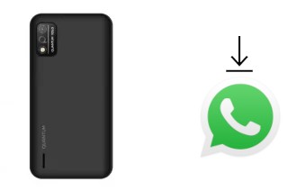 How to install WhatsApp in a Quantum YOLO