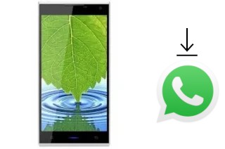 How to install WhatsApp in a Qube B7 Plus