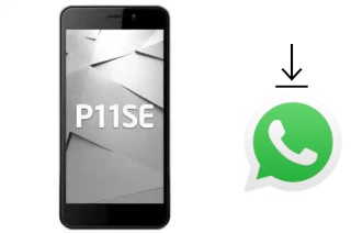 How to install WhatsApp in a Reeder P11SE