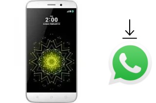 How to install WhatsApp in a Ringing Bells Elegance