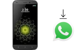 How to install WhatsApp in a Ringing Bells Elegant