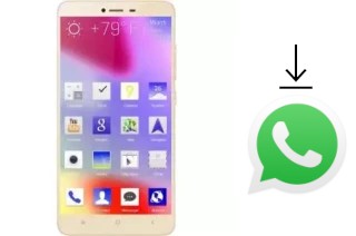 How to install WhatsApp in a Rivo Rhythm RX550