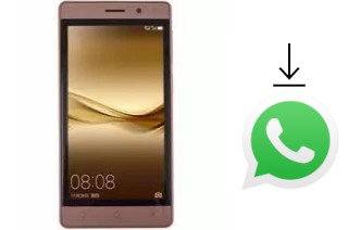 How to install WhatsApp in a ROYQUEEN RoyQueen Regal RQ540