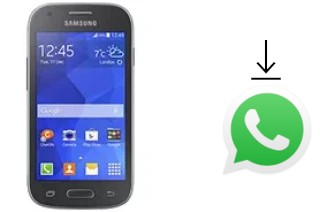 How to install WhatsApp in a Samsung Galaxy Ace Style