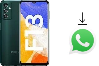 How to install WhatsApp in a Samsung Galaxy F13