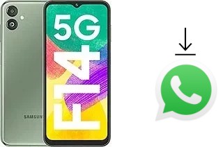 How to install WhatsApp in a Samsung Galaxy F14