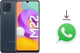 How to install WhatsApp in a Samsung Galaxy M22