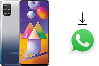 How to install WhatsApp in a Samsung Galaxy M31s