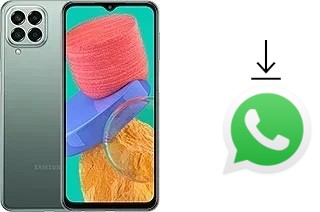 How to install WhatsApp in a Samsung Galaxy M33