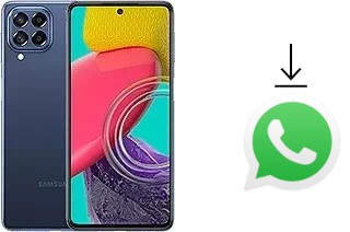 How to install WhatsApp in a Samsung Galaxy M53