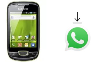 How to install WhatsApp in a Samsung Galaxy Mini S5570