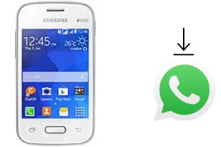 How to install WhatsApp in a Samsung Galaxy Pocket 2