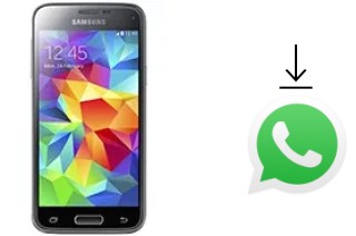 How to install WhatsApp in a Samsung Galaxy S5 mini Duos