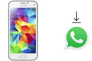 How to install WhatsApp in a Samsung Galaxy S5 mini