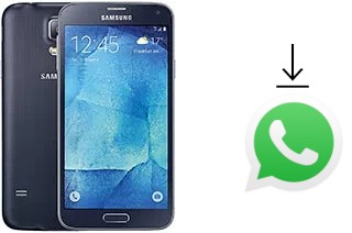 How to install WhatsApp in a Samsung Galaxy S5 Neo