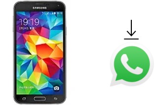 How to install WhatsApp in a Samsung Galaxy S5 Duos