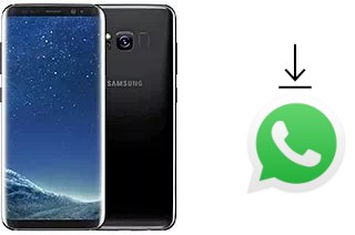 How to install WhatsApp in a Samsung Galaxy S8