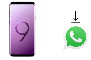 How to install WhatsApp in a Samsung Galaxy S9+ Exynos