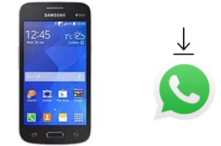 How to install WhatsApp in a Samsung Galaxy Star 2 Plus