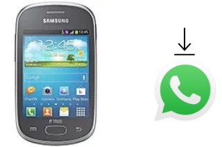 How to install WhatsApp in a Samsung Galaxy Star Trios S5283