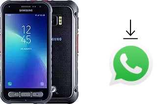 How to install WhatsApp in a Samsung Galaxy Xcover FieldPro