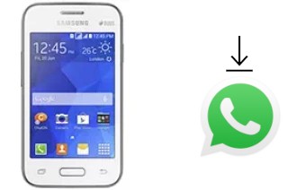 How to install WhatsApp in a Samsung Galaxy Young 2