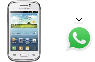 How to install WhatsApp in a Samsung Galaxy Young S6310