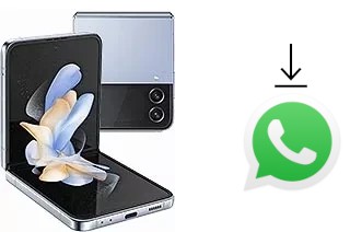 How to install WhatsApp in a Samsung Galaxy Z Flip4