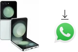 How to install WhatsApp in a Samsung Galaxy Z Flip5