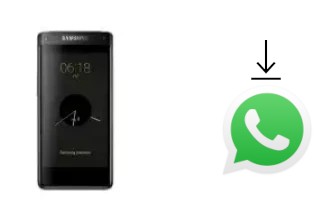 How to install WhatsApp in a Samsung Leadership 8