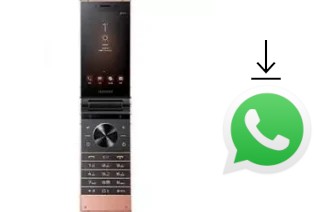 How to install WhatsApp in a Samsung W2019