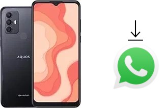 How to install WhatsApp in a Sharp Aquos V6