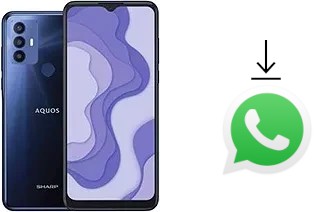 How to install WhatsApp in a Sharp Aquos V6 Plus