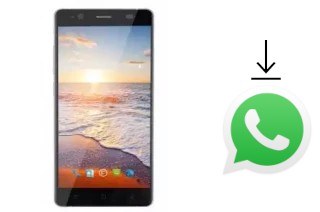 How to install WhatsApp in a Shenzhen Q5501