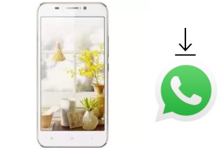 How to install WhatsApp in a SingTech I-Crystal