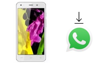 How to install WhatsApp in a SingTech Sapphire H50