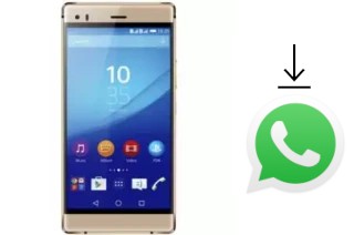 How to install WhatsApp in a SingTech Sapphire Z503