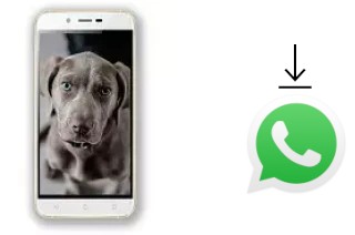 How to install WhatsApp in a Siswoo A6 Vanilla