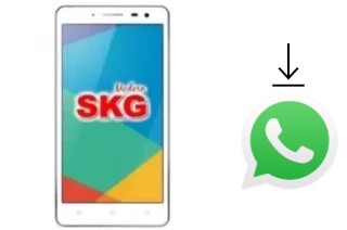 How to install WhatsApp in a SKG Modern S1