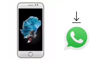 How to install WhatsApp in a SKG Modern S6