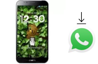 How to install WhatsApp in a Sky-Devices Sky A890