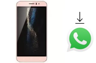 How to install WhatsApp in a SSKY Y444