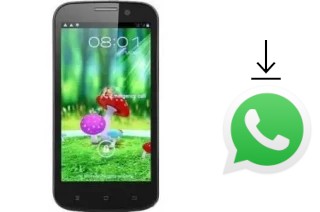 How to install WhatsApp in a Star B94M